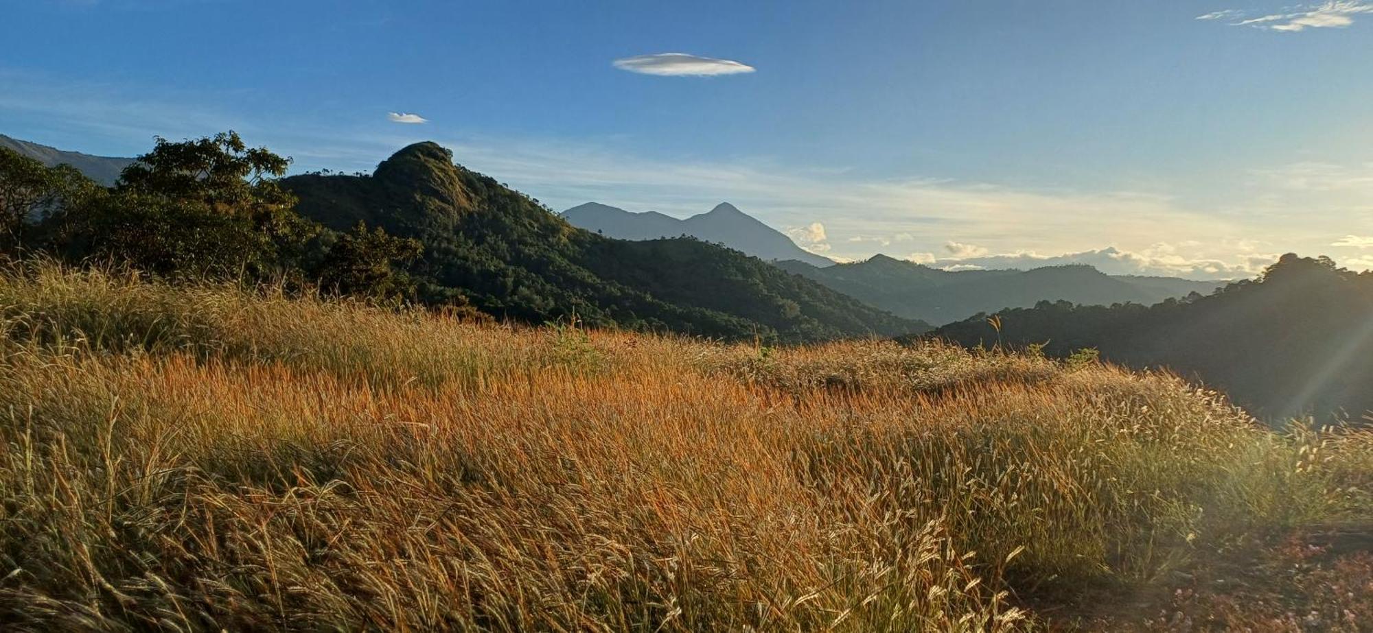Munnar Green Home Anaviratty Экстерьер фото